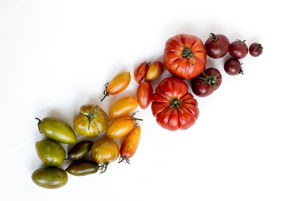 organic tomato seeds