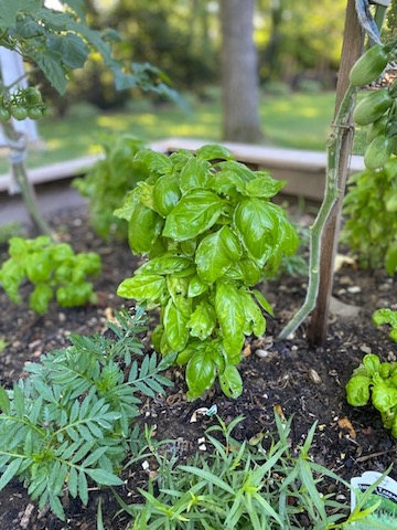 gardening